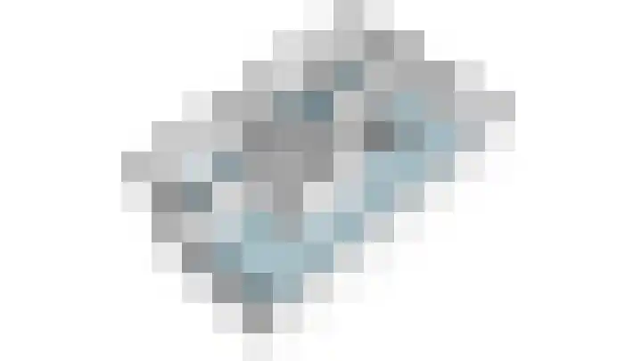 Ganzenroer 3 A Tollebeek thumbnail 61