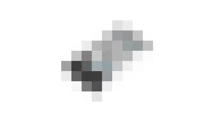 Ganzenroer 3 A Tollebeek thumbnail 63