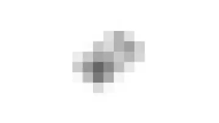 Ganzenroer 3 A Tollebeek thumbnail 64