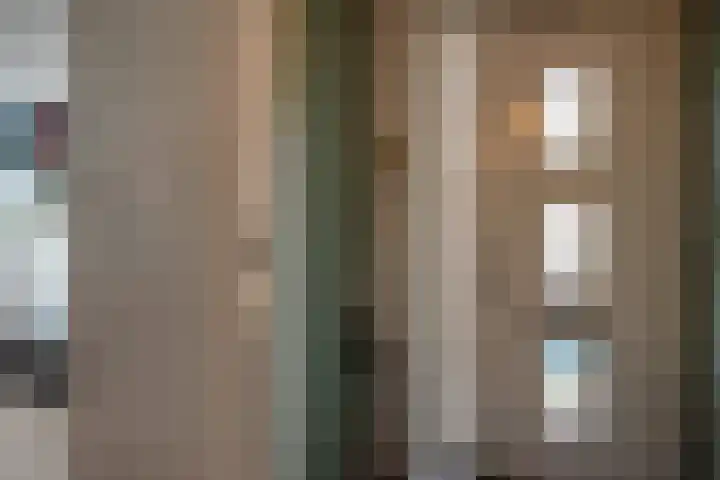 Ganzenroer 3 A Tollebeek thumbnail 7