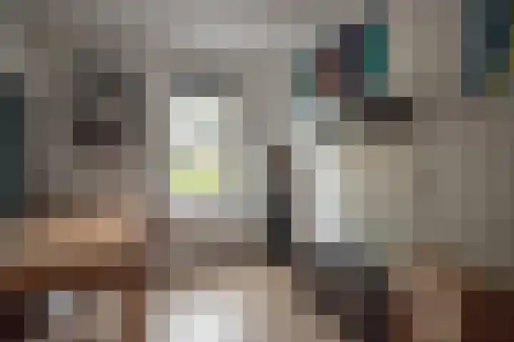 Ganzenroer 3 A Tollebeek thumbnail 8