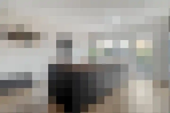 Ganzenroer 5 Nieuw-Amsterdam thumbnail 13
