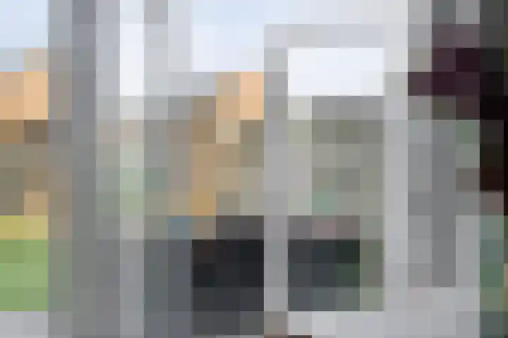 Ganzenroer 5 Nieuw-Amsterdam thumbnail 31
