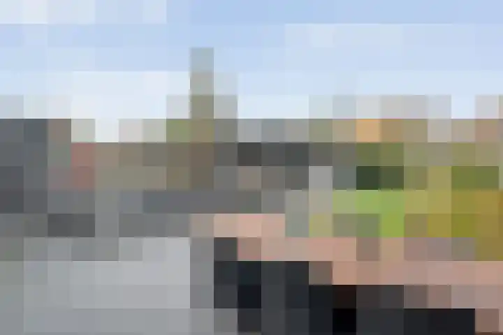 Ganzenroer 5 Nieuw-Amsterdam thumbnail 33