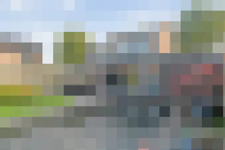 Ganzenroer 5 Nieuw-Amsterdam thumbnail 34