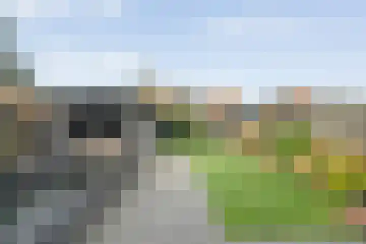 Ganzenroer 5 Nieuw-Amsterdam thumbnail 35