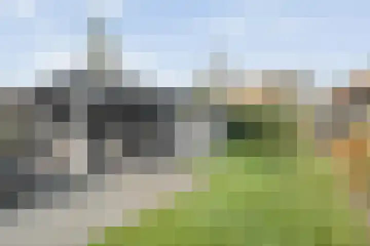 Ganzenroer 5 Nieuw-Amsterdam thumbnail 36