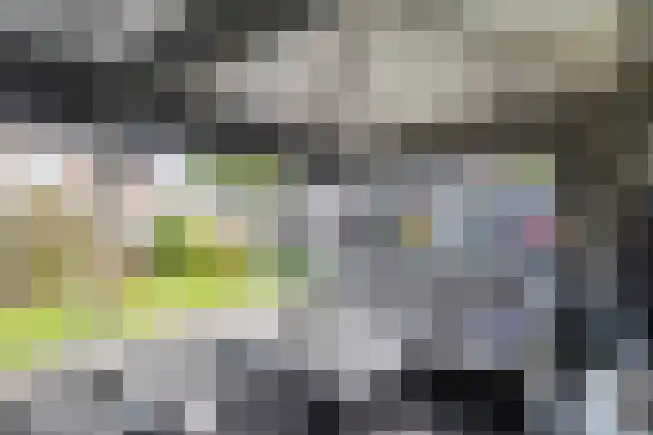 Ganzenroer 5 Nieuw-Amsterdam thumbnail 37