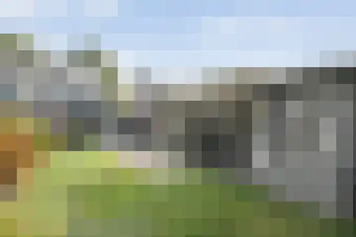 Ganzenroer 5 Nieuw-Amsterdam thumbnail 5