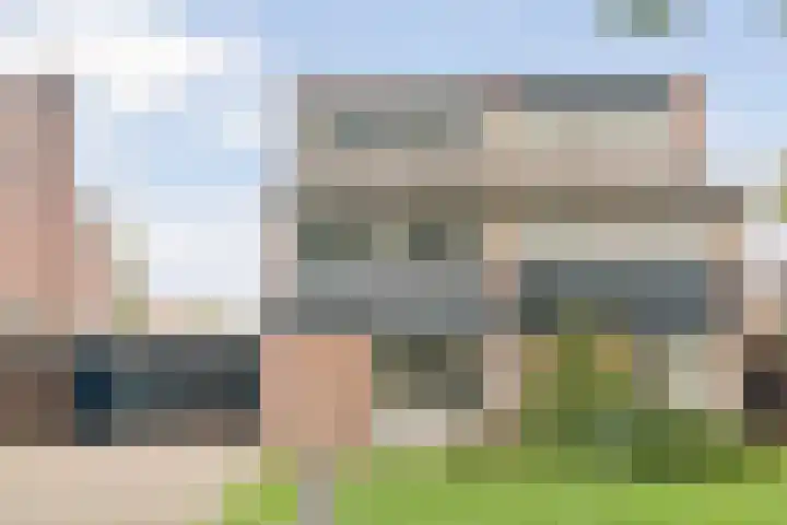 Ganzenroer 5 Nieuw-Amsterdam thumbnail 6
