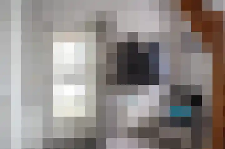 Ganzensteeg 2 Vorden thumbnail 13