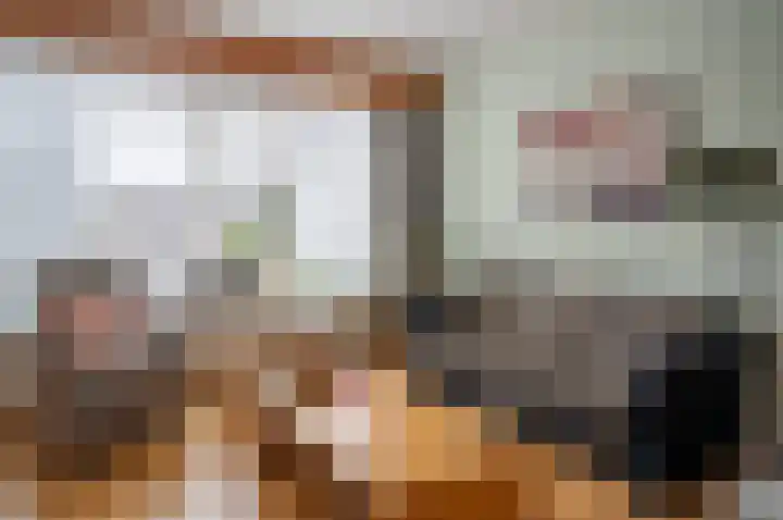 Ganzensteeg 2 Vorden thumbnail 16