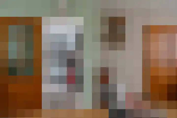 Ganzensteeg 2 Vorden thumbnail 20