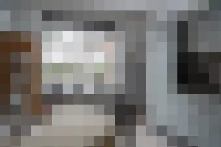 Ganzensteeg 2 Vorden thumbnail 22