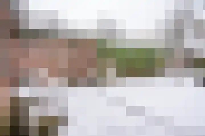 Ganzensteeg 2 Vorden thumbnail 23