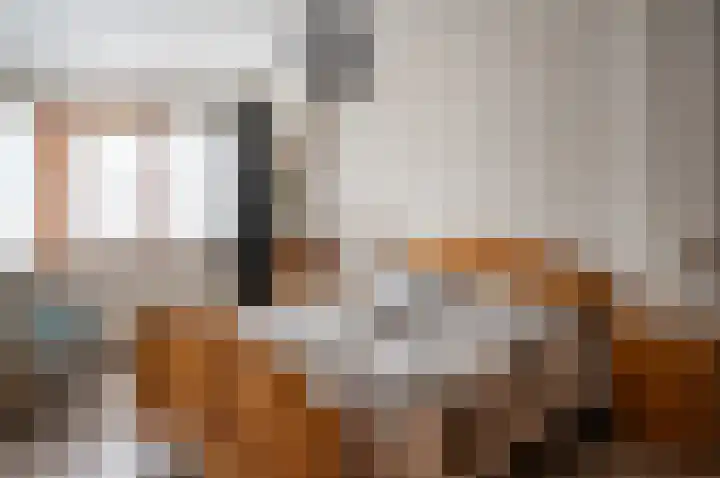 Ganzensteeg 2 Vorden thumbnail 28