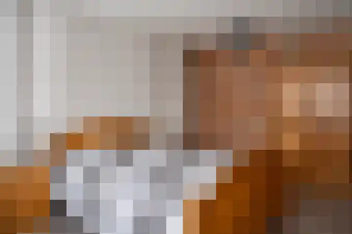 Ganzensteeg 2 Vorden thumbnail 29