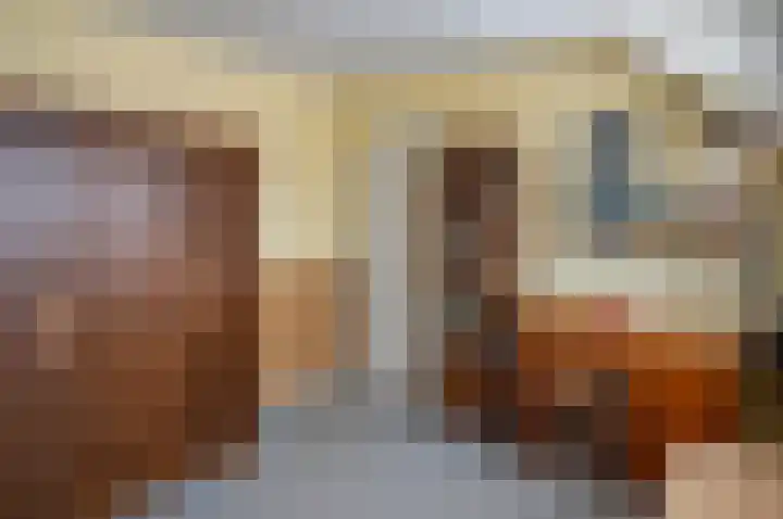 Ganzensteeg 2 Vorden thumbnail 36