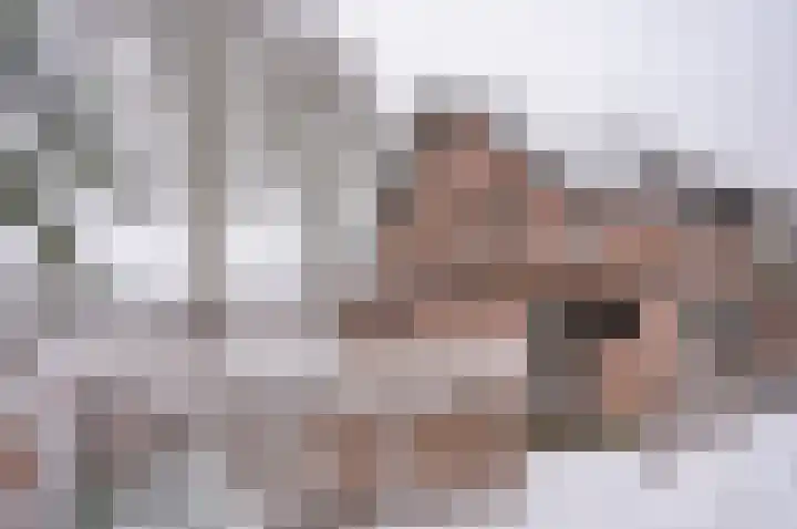 Ganzensteeg 2 Vorden thumbnail 39