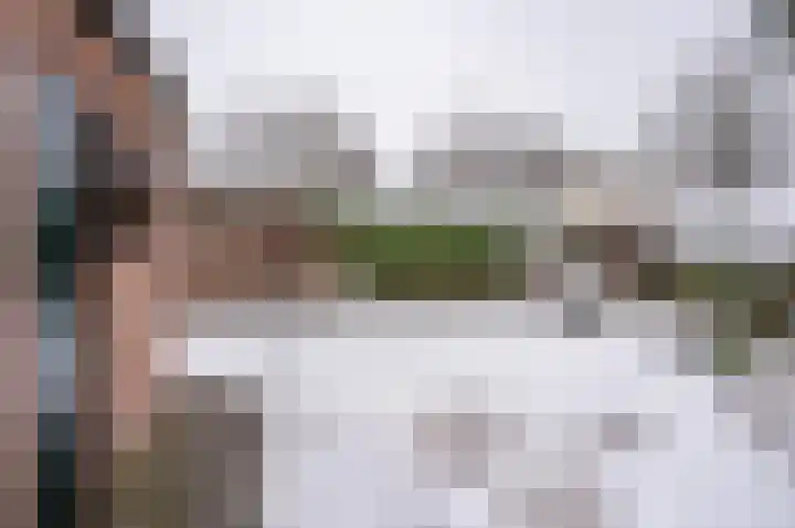 Ganzensteeg 2 Vorden thumbnail 40