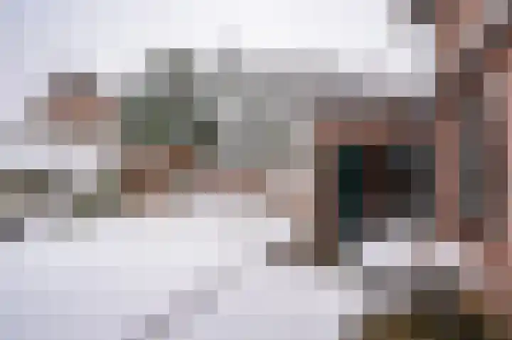 Ganzensteeg 2 Vorden thumbnail 42