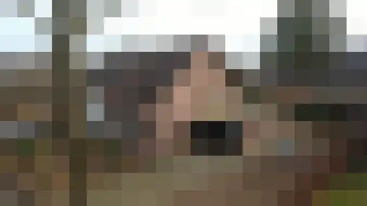 Ganzensteeg 2 Vorden thumbnail 45