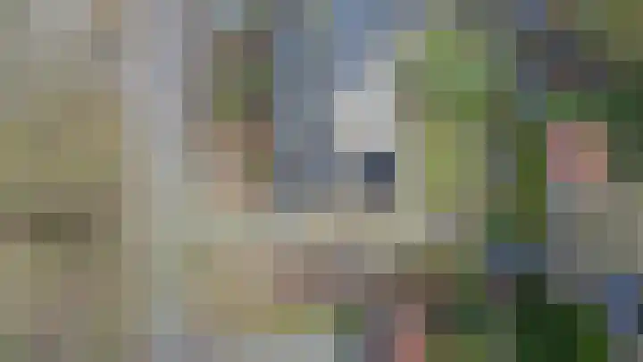 Ganzensteeg 2 Vorden thumbnail 46