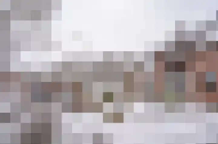 Ganzensteeg 2 Vorden thumbnail 6