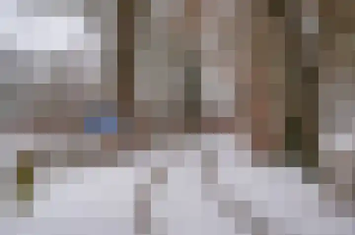 Ganzensteeg 2 Vorden thumbnail 7