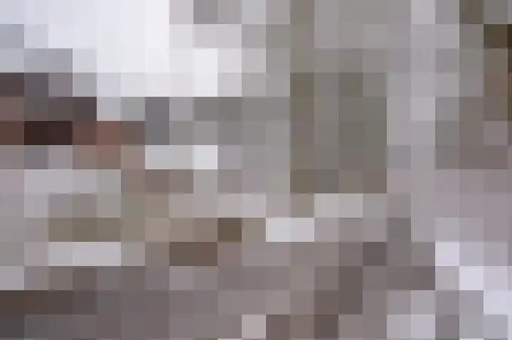 Ganzensteeg 2 Vorden thumbnail 8