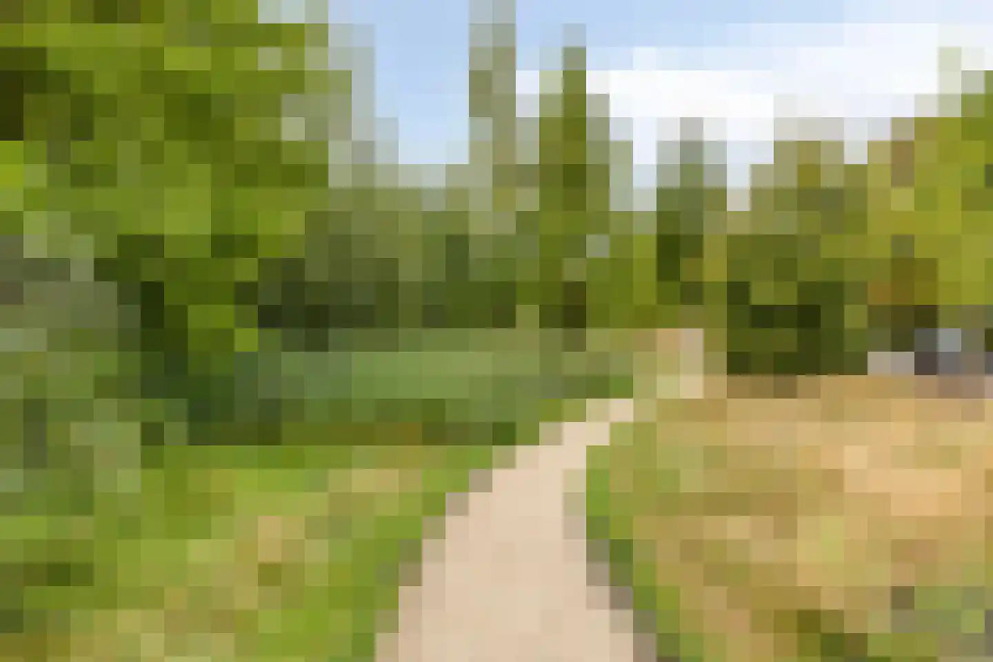 Ganzenstraat 120 Amersfoort thumbnail 21