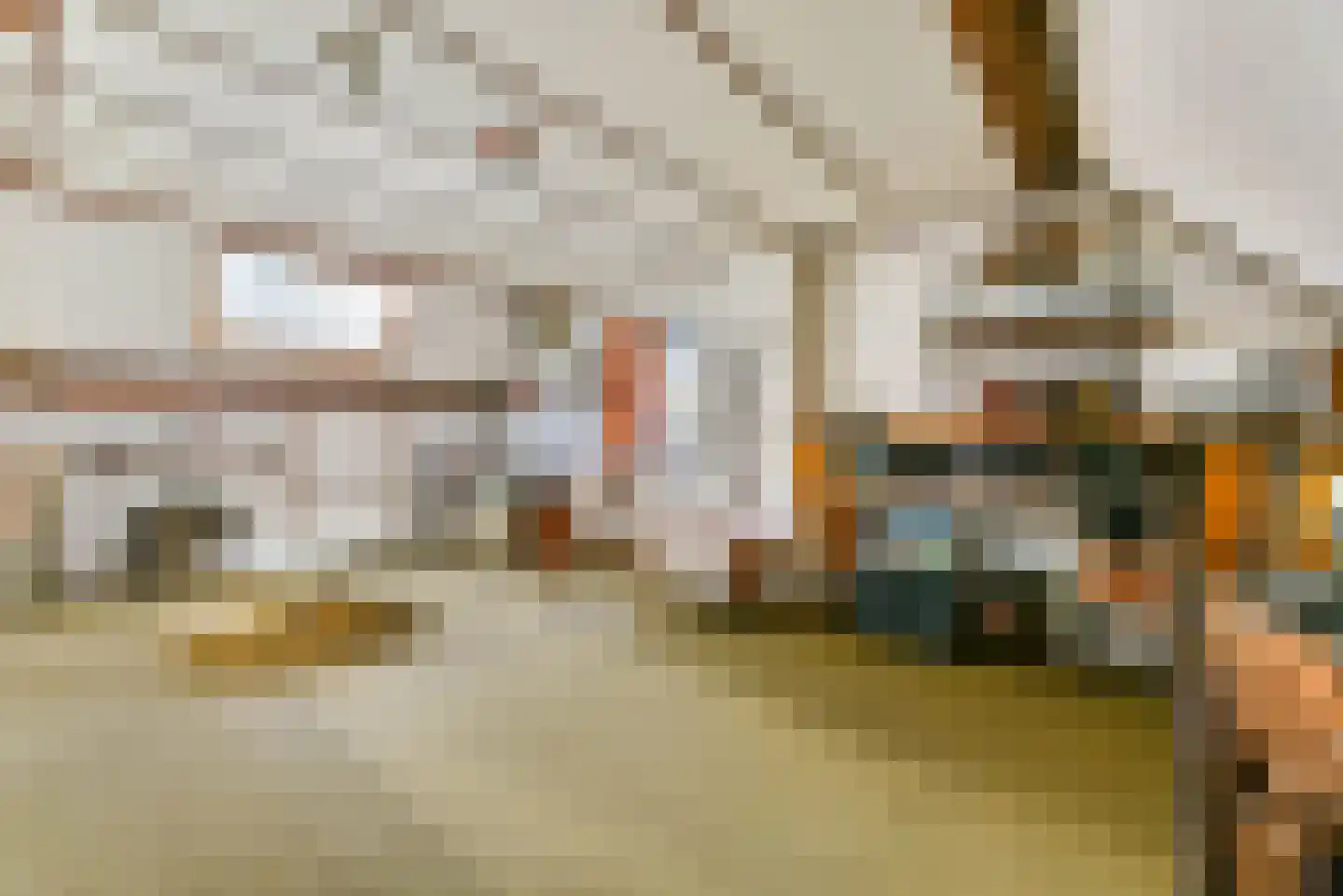 Ganzenstraat 63 Amersfoort thumbnail 36