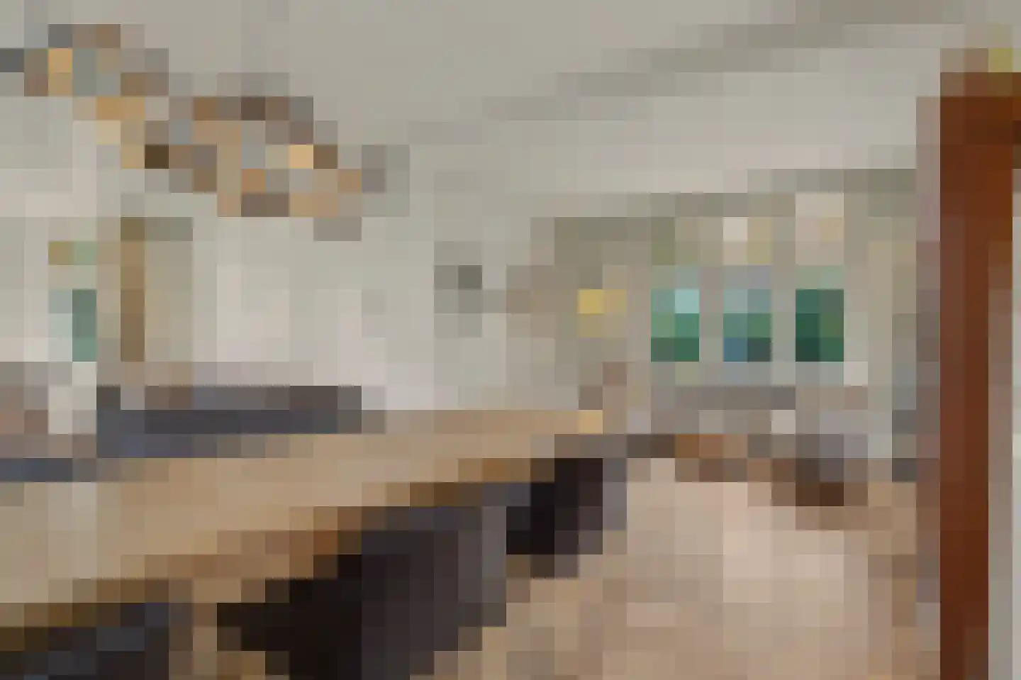 Ganzenstraat 64 Venlo thumbnail 13