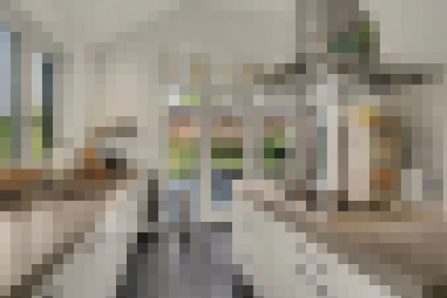 Ganzenstraat 64 Venlo thumbnail 17