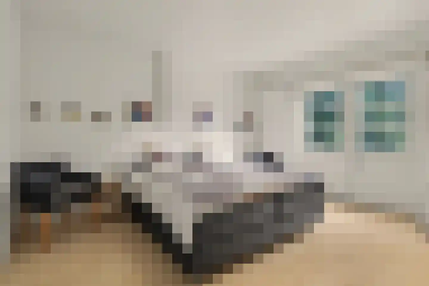 Ganzenstraat 64 Venlo thumbnail 23