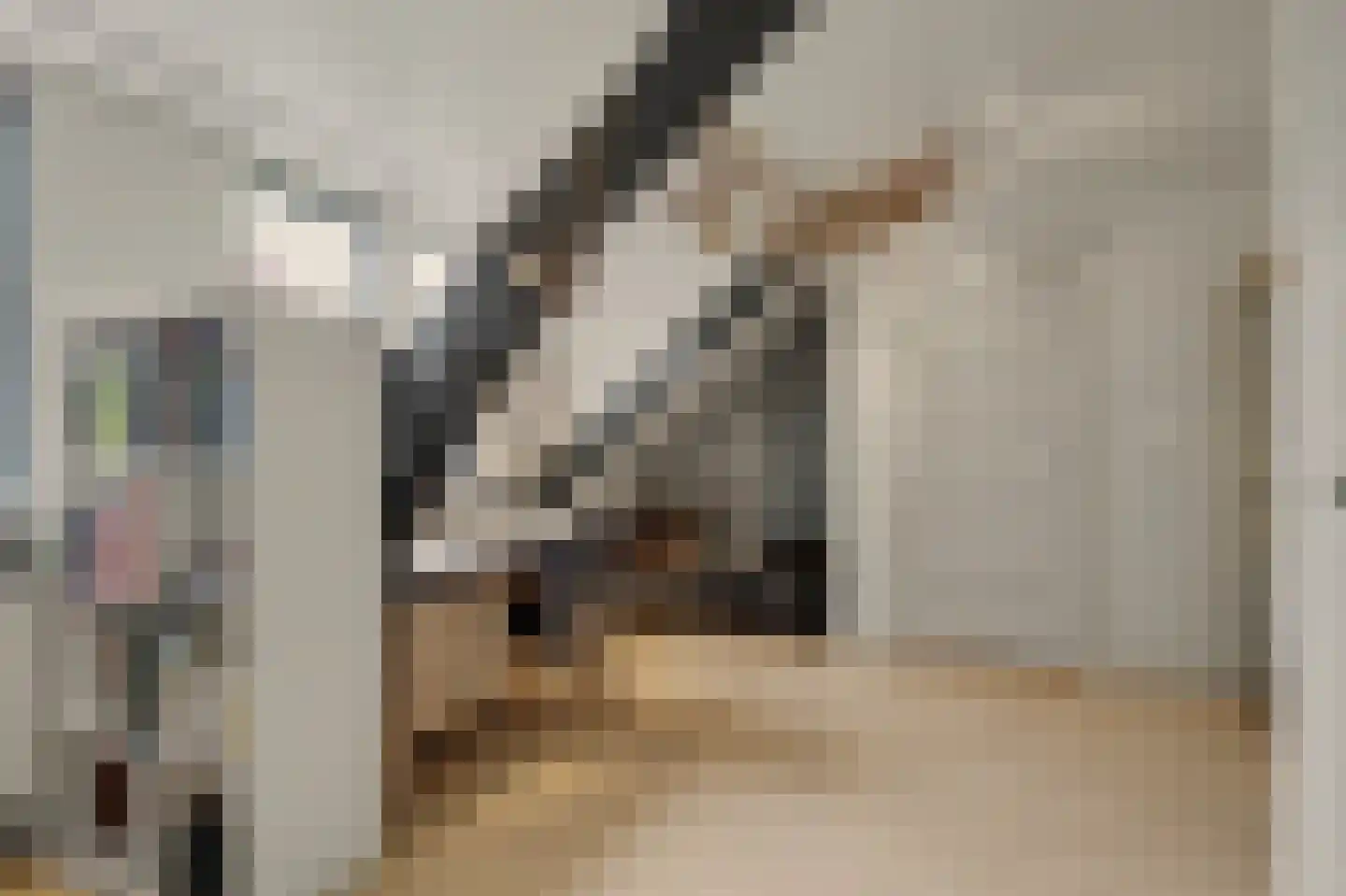 Ganzenstraat 64 Venlo thumbnail 29