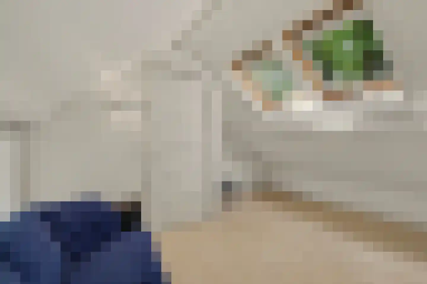 Ganzenstraat 64 Venlo thumbnail 33