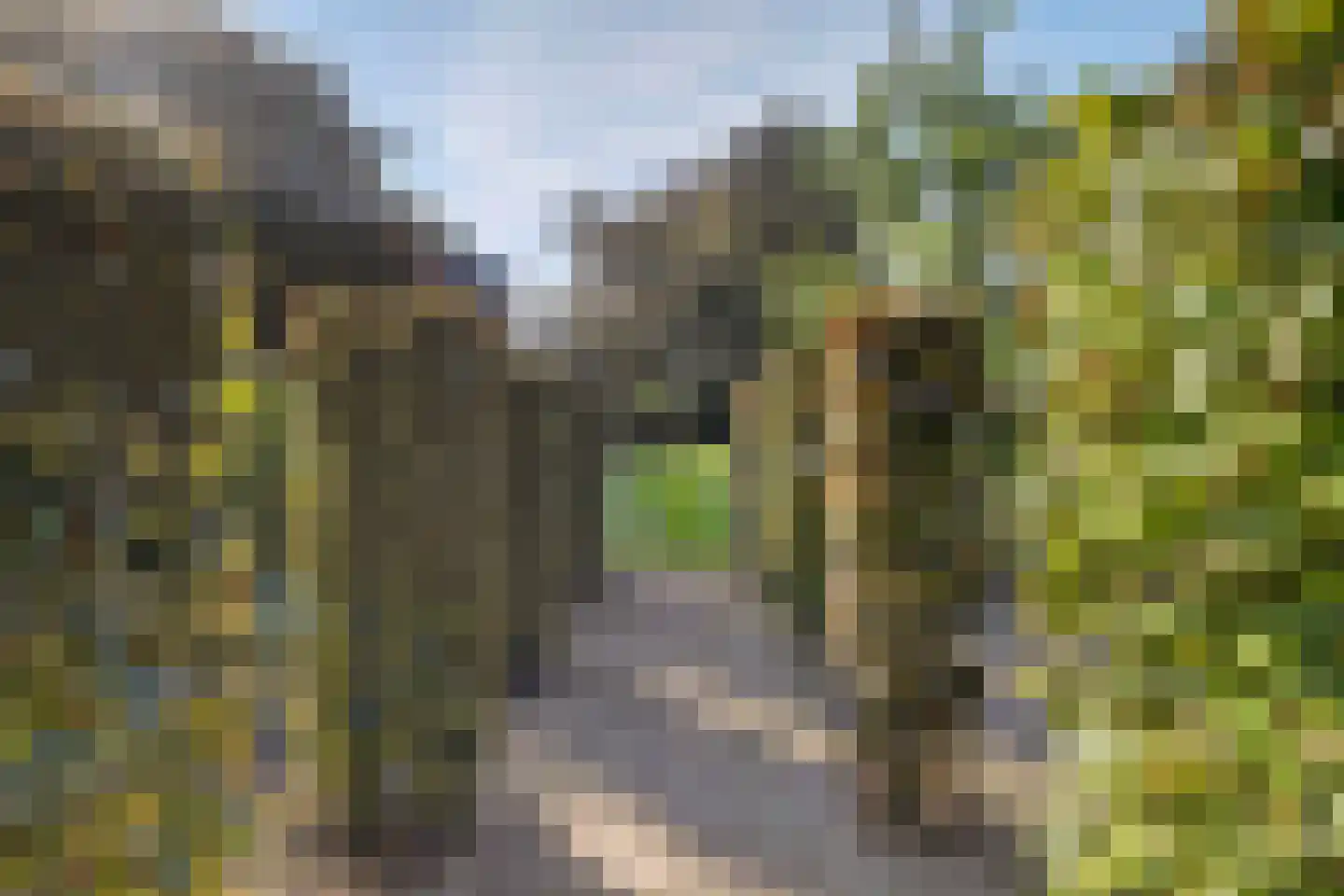 Ganzenstraat 64 Venlo thumbnail 36