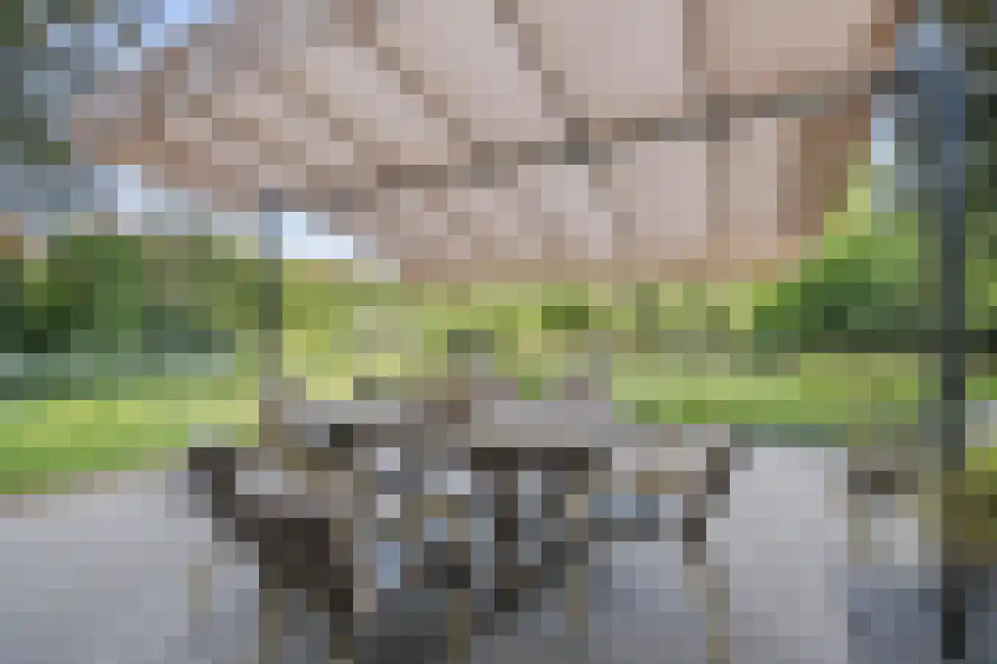 Ganzenstraat 64 Venlo thumbnail 38