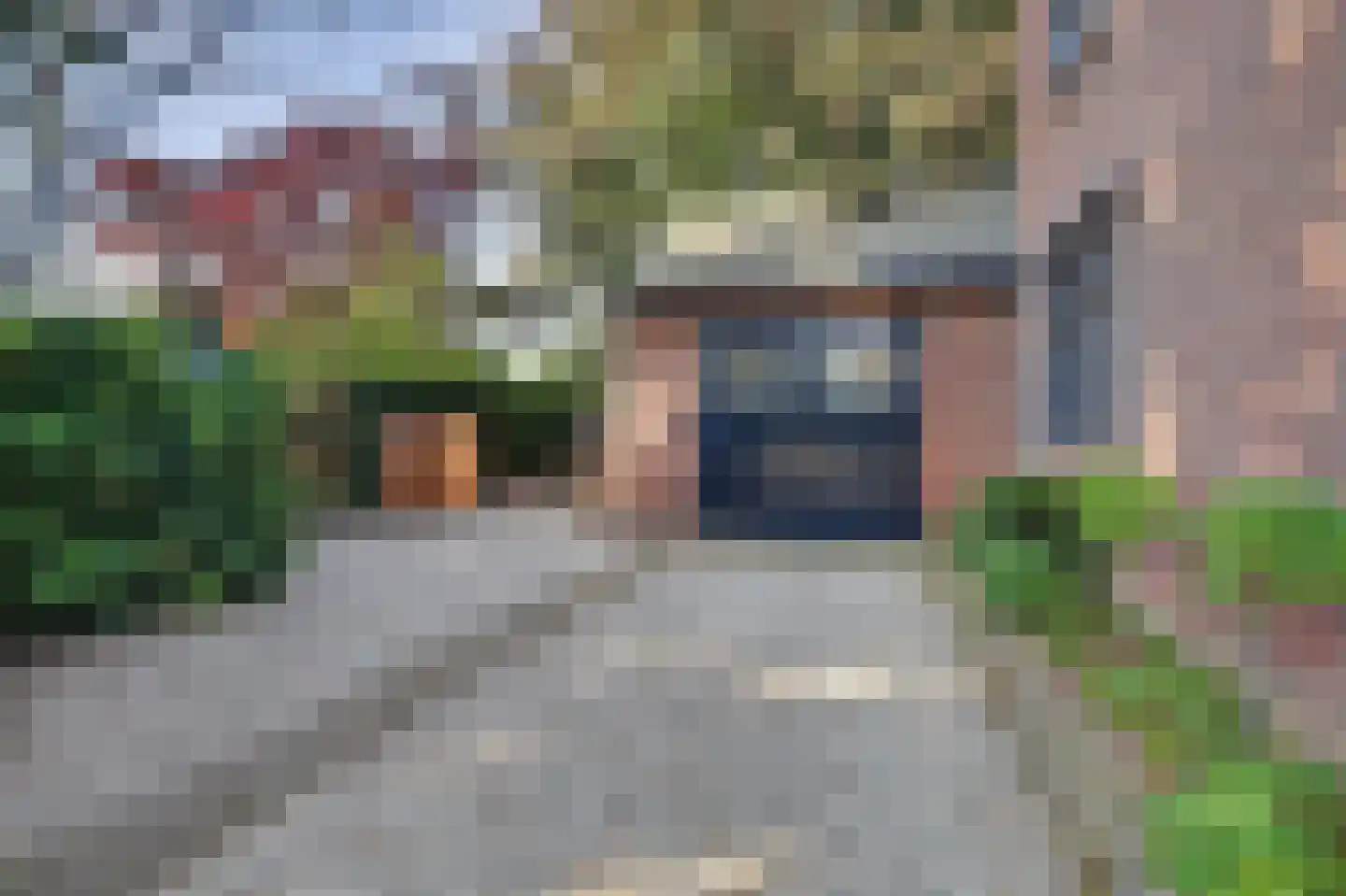 Ganzenstraat 64 Venlo thumbnail 43