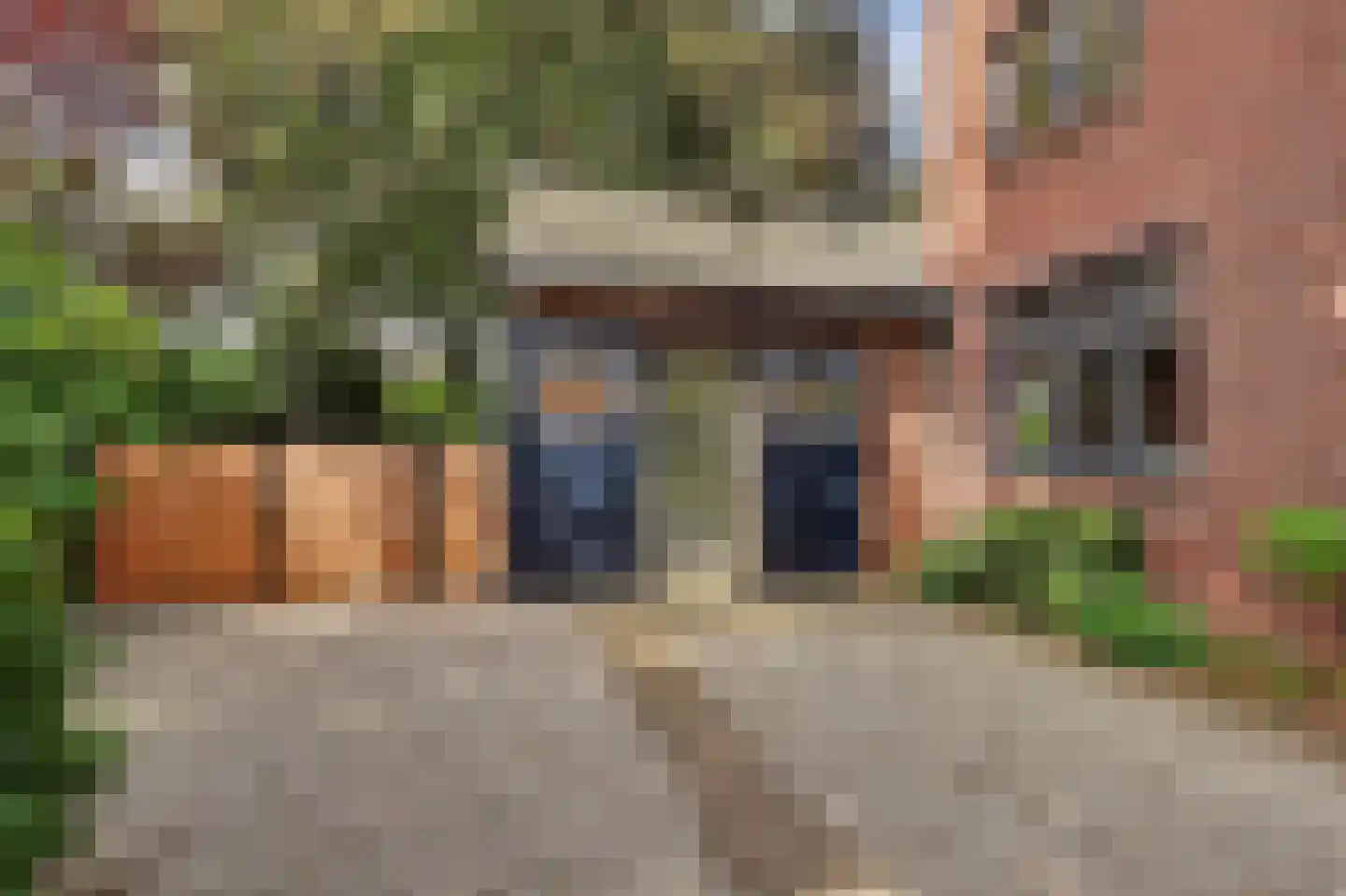 Ganzenstraat 64 Venlo thumbnail 5