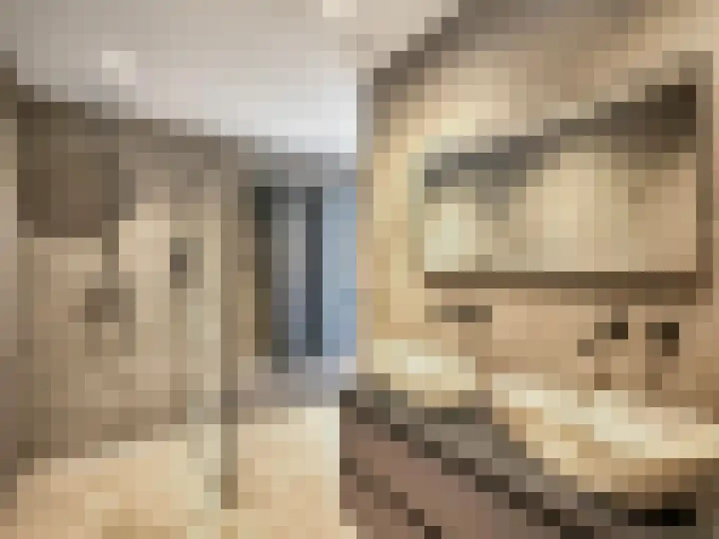 Ganzenveer 21 Heemskerk thumbnail 8