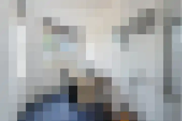 Ganzenveer 48 Heemskerk thumbnail 10