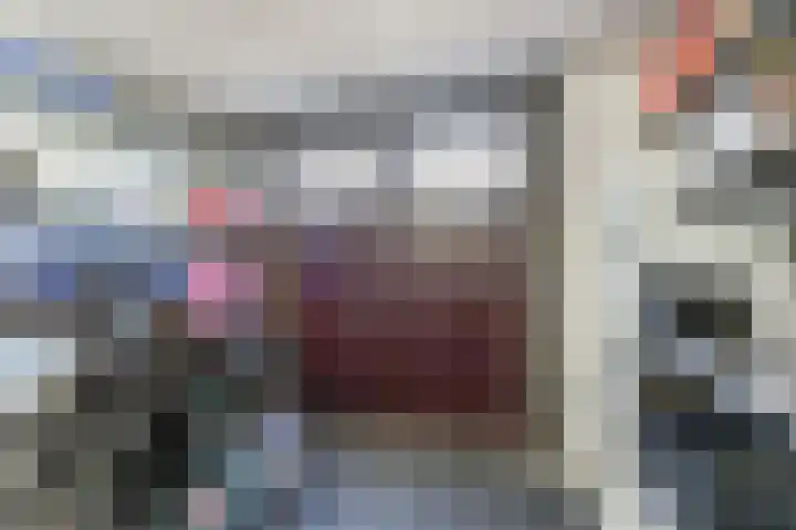 Ganzenveer 48 Heemskerk thumbnail 11