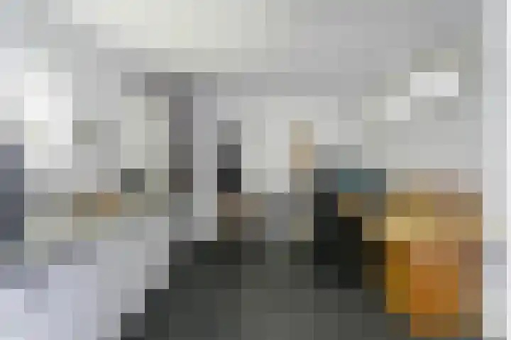 Ganzenveer 48 Heemskerk thumbnail 12