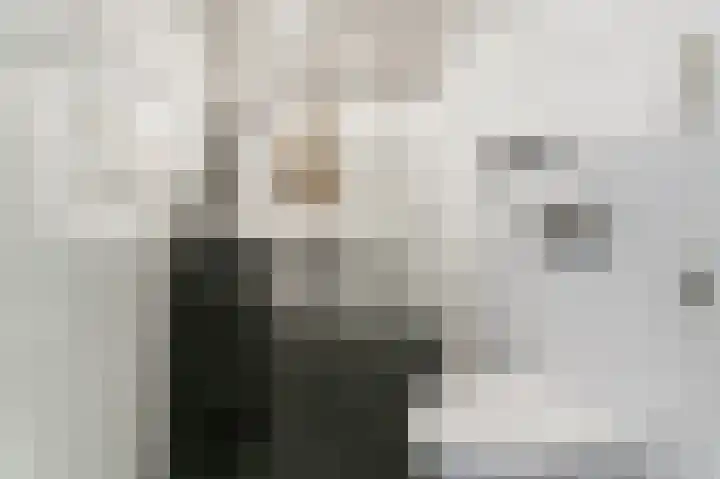 Ganzenveer 48 Heemskerk thumbnail 13