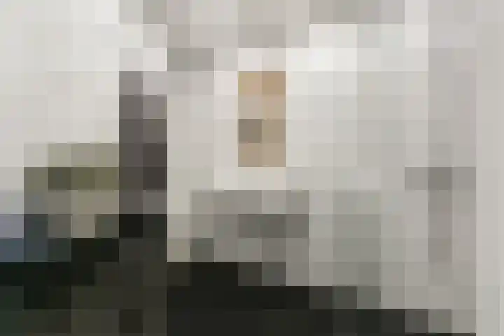 Ganzenveer 48 Heemskerk thumbnail 14