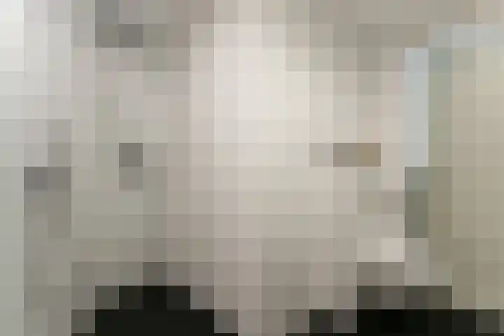 Ganzenveer 48 Heemskerk thumbnail 15