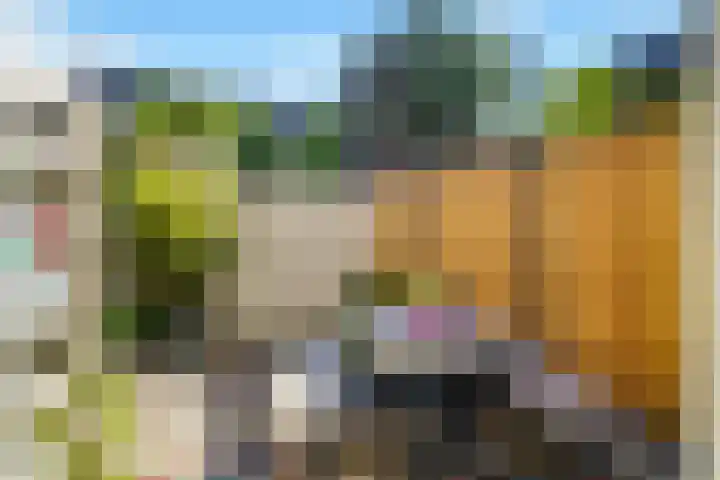 Ganzenveer 48 Heemskerk thumbnail 20