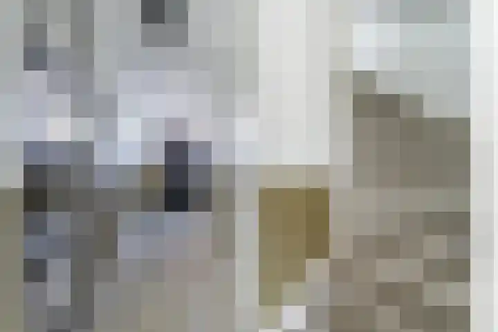 Ganzenveer 48 Heemskerk thumbnail 21